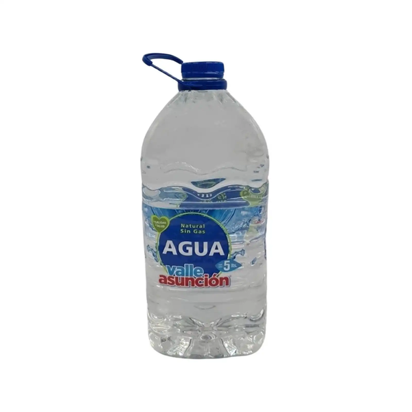 AGUA MINERAL VALLE ASUNCION 5L *2