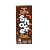 CHOCOLATADA BAGGIO 1L *8